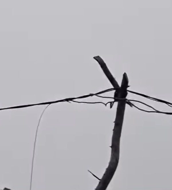 Padre e hijo mueren electrocutados en Hernandarias - 1000 Noticias