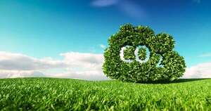 La Nación / Paraguay busca avanzar en acuerdo con Singapur por créditos de carbono