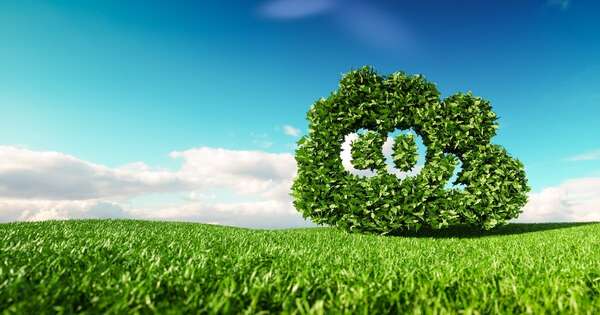 La Nación / Paraguay busca avanzar en acuerdo con Singapur por créditos de carbono
