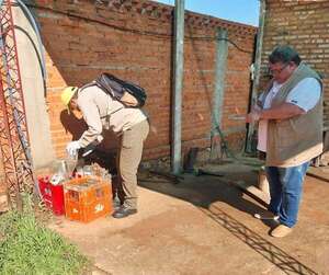 SENEPA refuerza operativo Semana Santa para prevenir el dengue en Cordillera - Nacionales - ABC Color