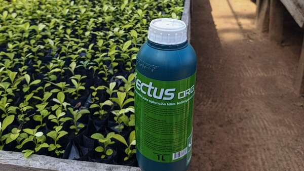Exitos S.A. presentó Effectus, un fertilizante con resultados efectivos en la agricultura