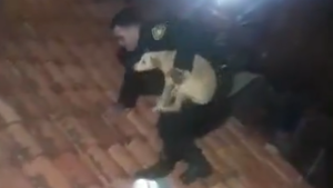 Policía “liviano” logró rescatar a un perro atrapado en un techo