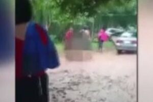 Padre e hijo murieron electrocutados por un cable suelto en Hernandarias - SNT