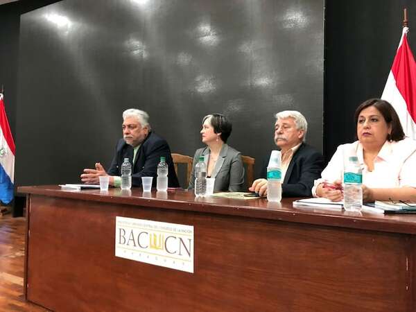 Itaipú: “Paraguay debió endurecer su posición y exigir precio de mercado”, sostiene exviceministra - Economía - ABC Color