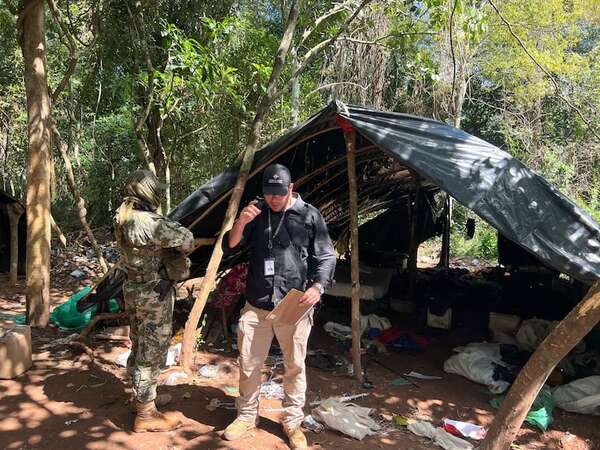 Desmantelan campamento marihuanero de Macho en plena reserva Mbaracayú - Policiales - ABC Color