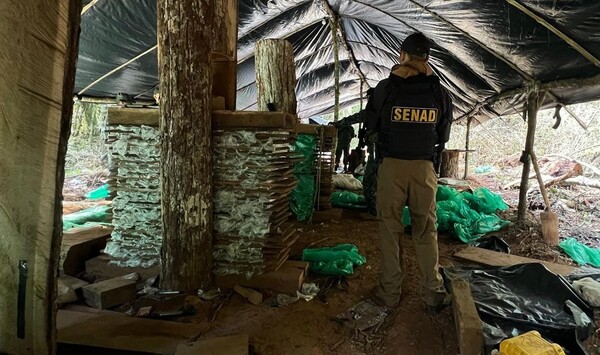 Golpe de USD 3 millones al crimen organizado con desarticulación de mega base narco en Canindeyú - .::Agencia IP::.