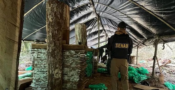 Hallan base narco en Villa Ygatimí y detienen a brasileños