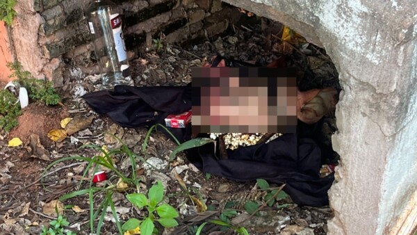 Miedo: encontraron la cabeza de un chancho en el cementerio de Ypané