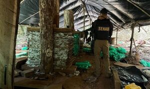 GOLPE DE USD 3 MILLONES AL CRIMEN ORGANIZADO CON DESARTICULACIÓN DE MEGA BASE NARCO EN CANINDEYÚ