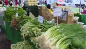 Feria de la Agricultura Familiar en la Costanera: productos frescos directo del campo - SNT