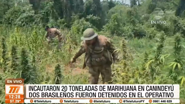 Incautan 20 toneladas de marihuana en Canindeyú