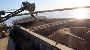 Menores envíos de soja al exterior causaron merma de casi US$ 200 millones | Agronegocios | 5Días