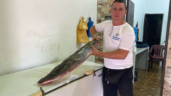 Concepción: escasez de pescado encarece los precios en Semana Santa - Nacionales - ABC Color