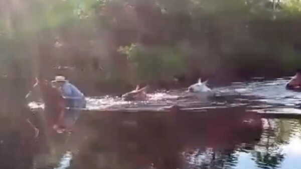 Pobladores de Toro Pampa resisten a la inundación: “Estamos aislados y aumenta la escasez”