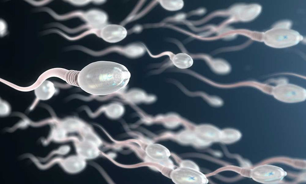 La primera carrera de espermatozoides en los Ángeles,1.000 entradas y zona VIP - OviedoPress