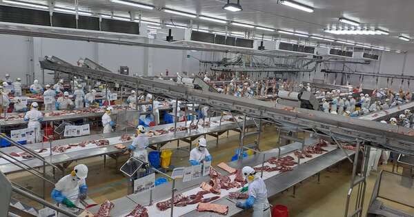 La Nación / La faena aumentó un 25 % al cierre del primer trimestre del año