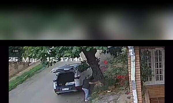 (VIDEO) Doña dejó cabeza de chancho podrida frente a una casa