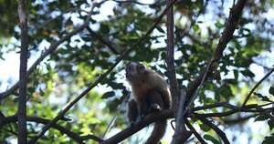 Diario HOY | El zoológico abrirá en horario normal esta Semana Santa