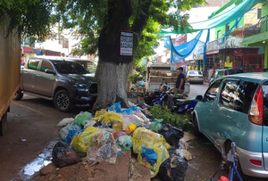 Se insta a la ciudadanía a denunciar a los que arrojan basura en la vía pública - La Clave