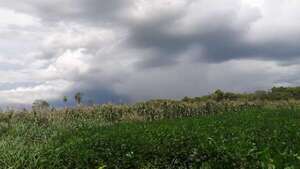 Meteorología: tormentas se desarrollan sobre cuatro departamentos - Nacionales - ABC Color