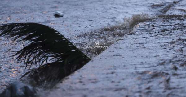 Diario HOY | Viernes Santo bajo agua: alerta para cinco departamentos