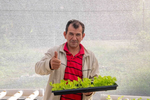 Reos avanzan hacia la reinserción con producción de 2.000 lechugas mensuales - Unicanal