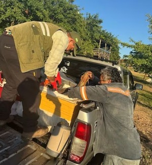 Operativo Semana Santa: MADES realiza controles en rutas y ríos - 1000 Noticias