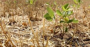 La Nación / Se prevé déficit de lluvias en mayo, según proyecciones de Inbio