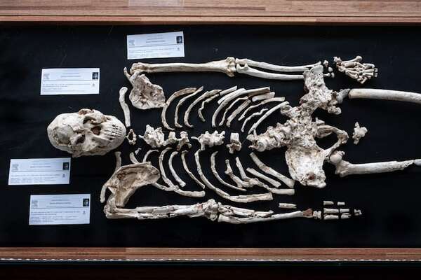 Reabren cuevas sudafricanas de Sterkfontein, famosas por sus fósiles de Australopithecus - Ciencia - ABC Color