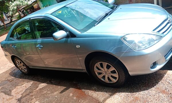 Salió a buscar más bebidas y hurtaron su automóvil