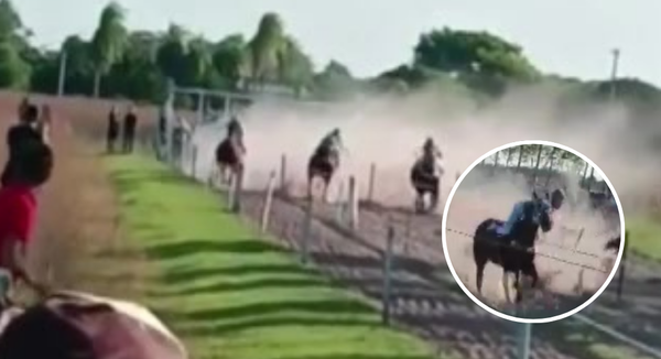 Jinete cae en plena carrera en Ñeembucú y queda inmóvil - SNT
