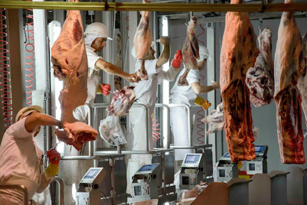 Técnicos de EE.UU. llegan a Brasil para inspeccionar plantas empacadoras de carne en mayo