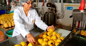 Exportación trimestral: productos primarios y manufacturas al mismo nivel de facturación