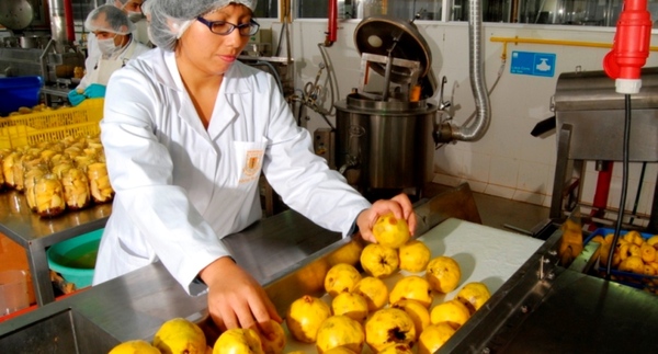 Exportación trimestral: productos primarios y manufacturas al mismo nivel de facturación
