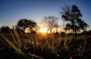 Lunes con temperatura fresca a cálida en gran parte del país, anuncia Meteorología - .::Agencia IP::.