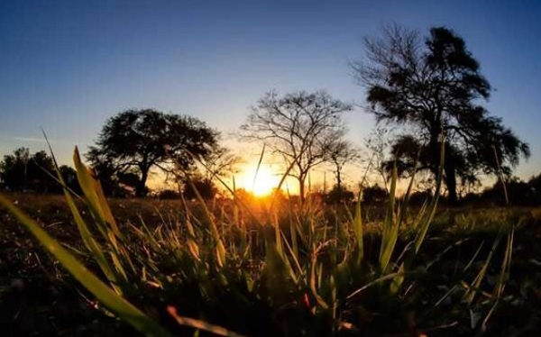 Ambiente fresco a cálido y lluvias dispersas este lunes
