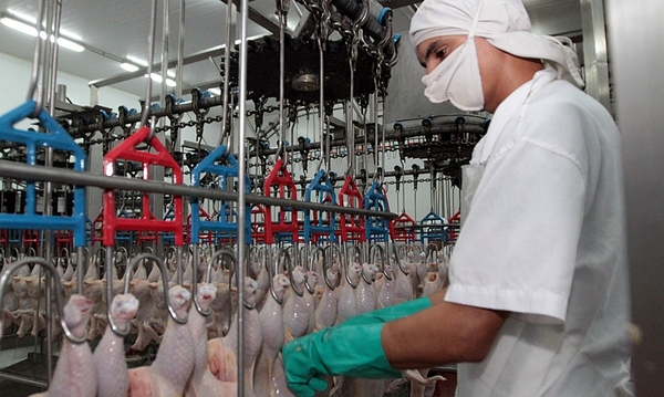 Fortalecer las soluciones financieras para los 03 productores, un eje central para la sostenibilidad