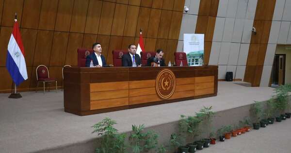 Diario HOY | Debaten proyecto para legalizar el consumo de marihuana