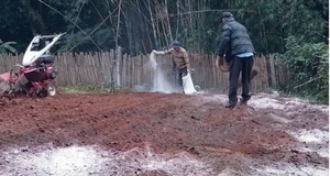 Productores de Villarrica se alistan para la siembra de cebolla