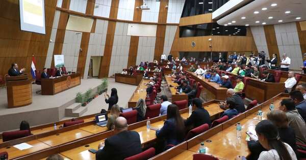 La Nación / En el Senado buscan unificar 7 proyectos para despenalizar el uso recreativo del cannabis
