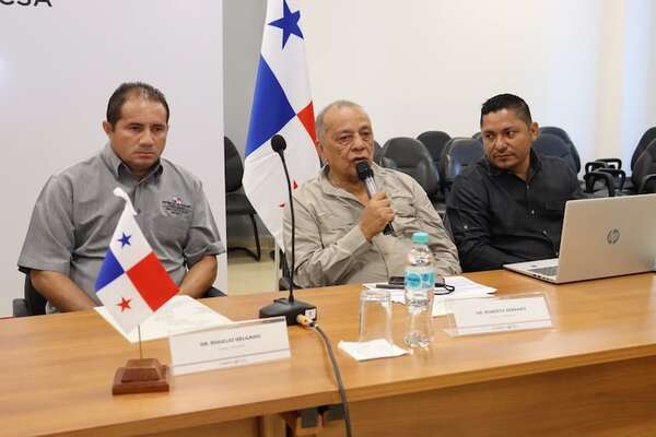 Arrancó la auditoría de Panamá al complejo cárnico nacional - Economía - ABC Color