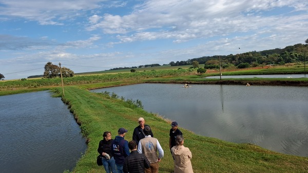 Se necesitan inversiones responsables y políticas específicas para la acuicultura, según la FAO | Locales | 5Días