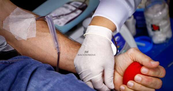 La Nación / Paraguay, sede de los congresos iberoamericanos de medicina transfusional y de hematología
