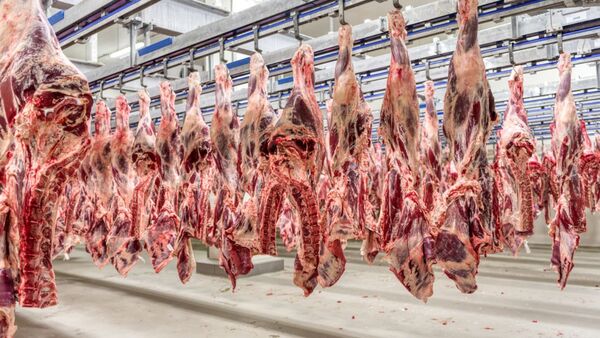Brasil y Argentina saldrían ganando con la guerra comercial de Estados Unidos
