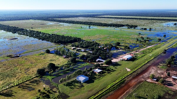 Inundaciones en el Chaco frenan la faena y elevan el precio de la carne