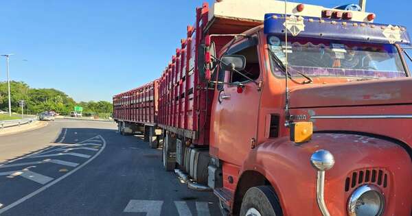 Diario HOY | Incautan camión que trasportaba animales con documentación irregular