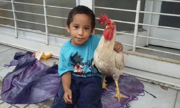 El día que un niño paraguayo dio su gallo al papa Francisco para hacer vori vori – Prensa 5