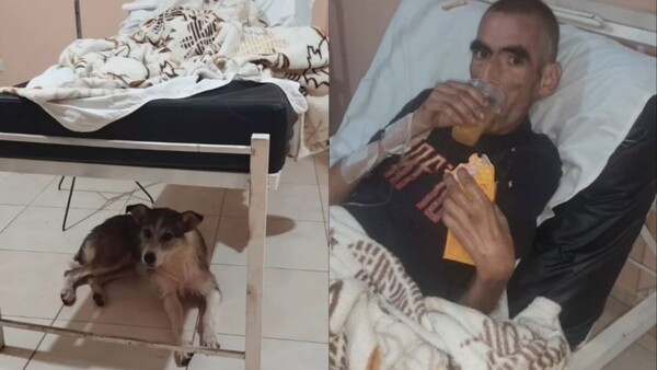 Un “perrito enfermero”: Un abuelo lucha por su vida y su fiel amigo no lo abandona