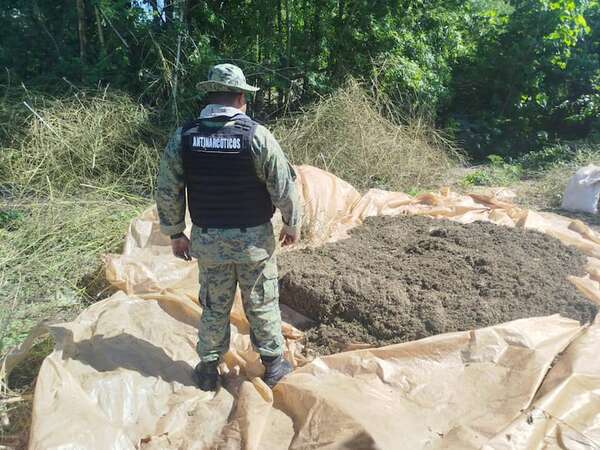 Curuguaty: destruyen 18 toneladas de marihuana en una colonia - Nacionales - ABC Color