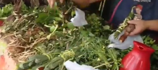 Recomiendan remedios refrescantes para el tereré tras Semana Santa - SNT